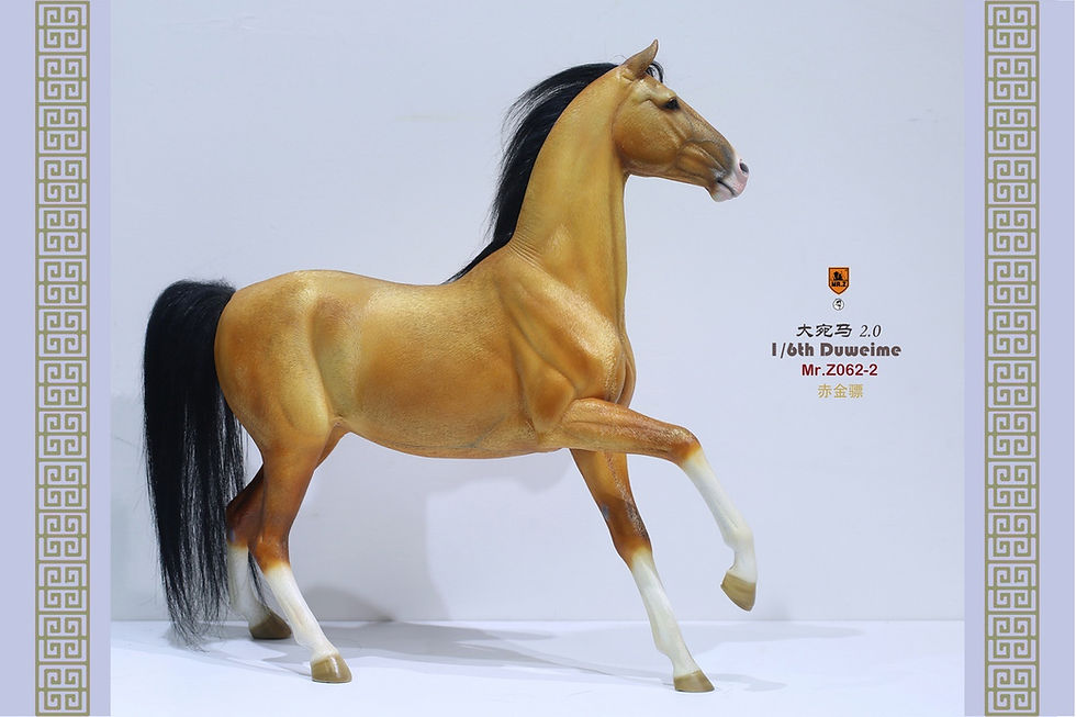 Miniatura: MR. Z Ferghana 2.0 1/6 Duweime Horses  Mr.Z062