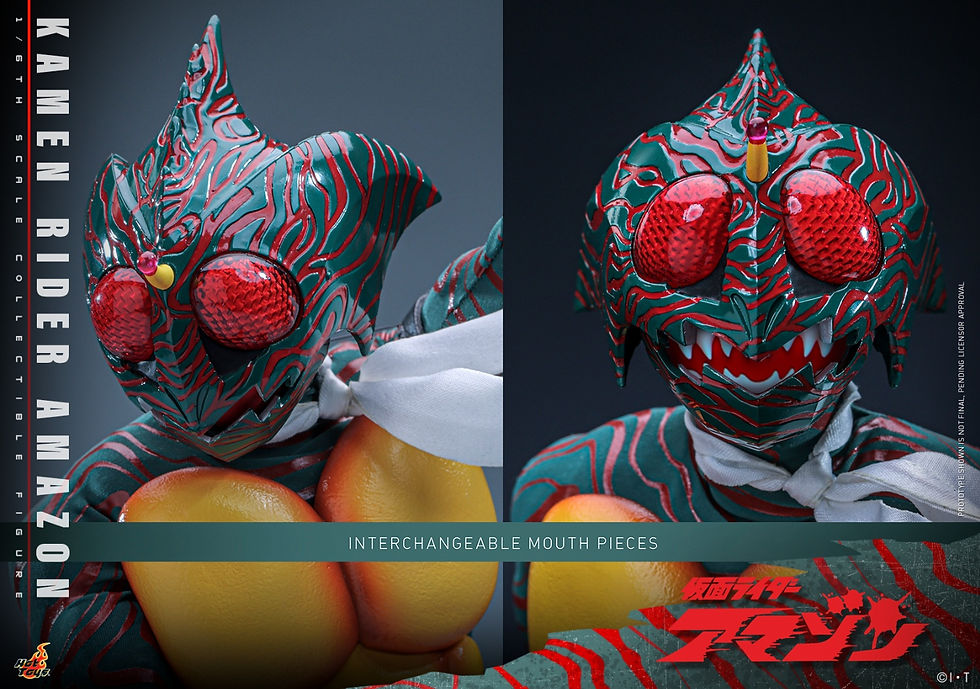 Miniatura: Kamen Rider 1/6 Amazon TMS184
