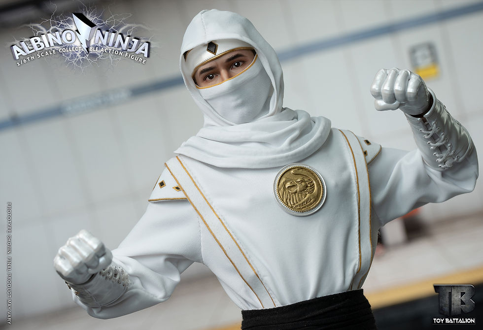 Thumbnail: Toys Battalion (TB011) 1/6 Albino Ninja