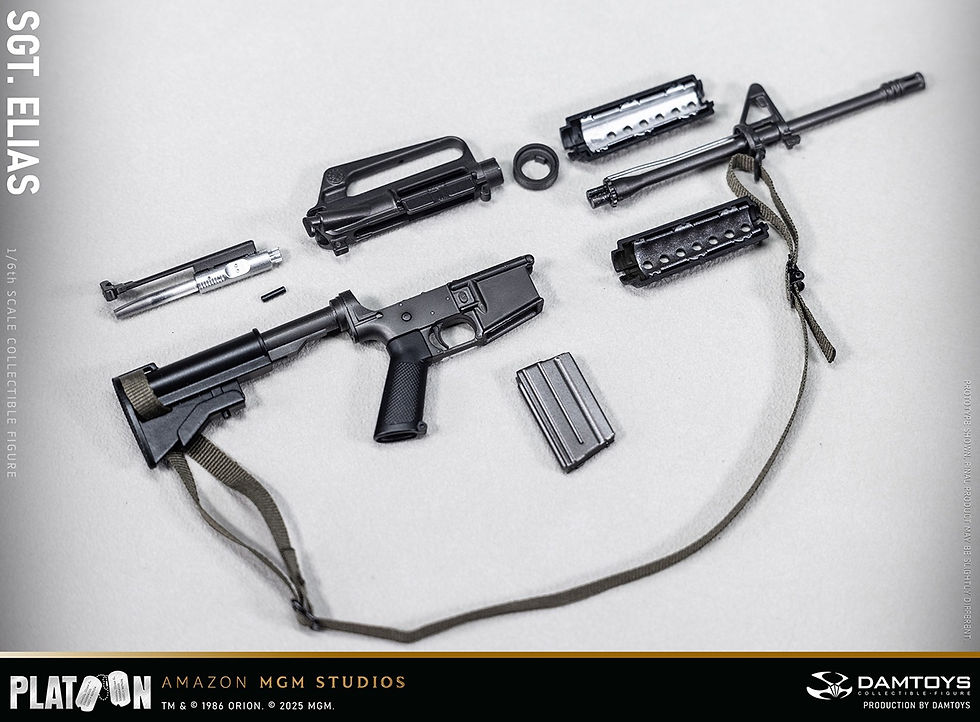 Miniatura: DAMTOYS Platoon 1/6 Sgt. Elias DMS047