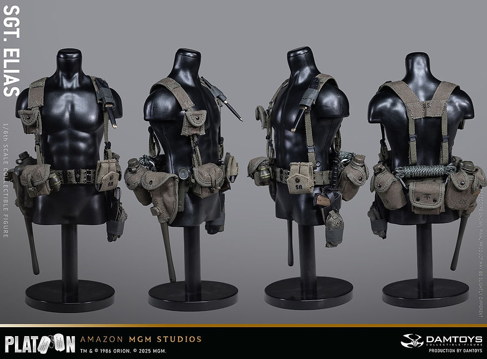 Miniatura: DAMTOYS Platoon 1/6 Sgt. Elias DMS047