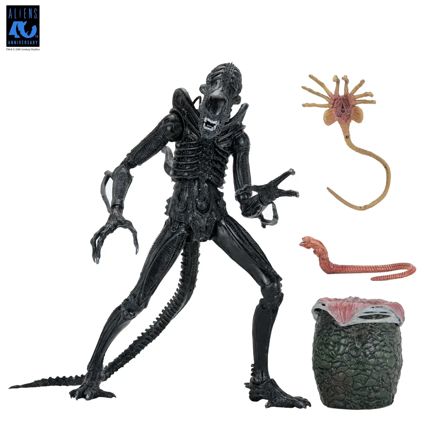 Aliens 40th Anniversary Warrior 1/12 Xenomorph Black Ultimate