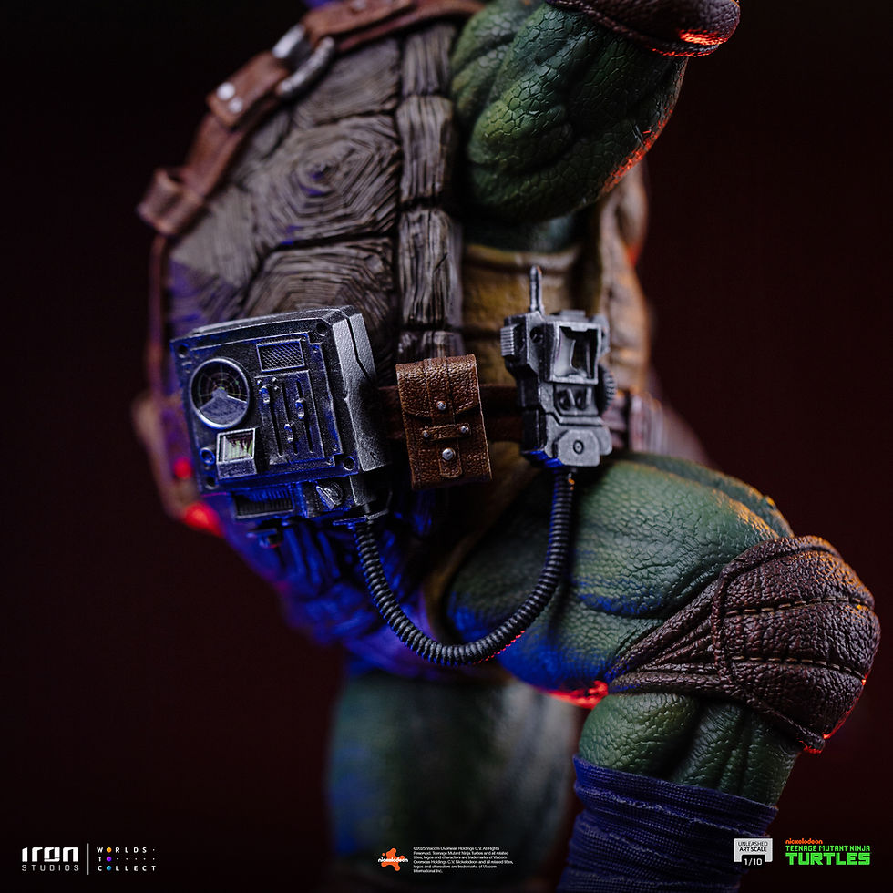 Thumbnail: Teenage Mutant Ninja Turtles 1/10 Donatello