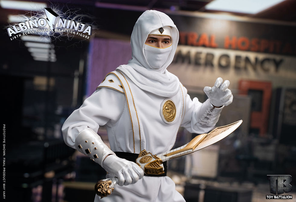 Thumbnail: Toys Battalion (TB011) 1/6 Albino Ninja