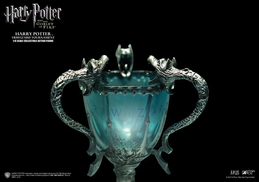 Miniatura: Harry Potter and the Goblet of Fire 1/6 Harry Potter SA0018