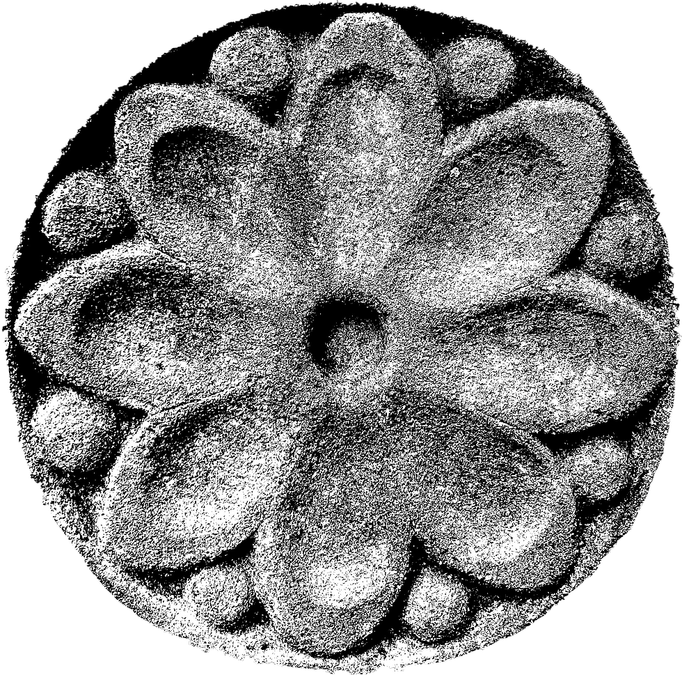 Flower.png