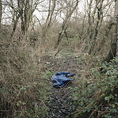 4th February - 29th May 2016 