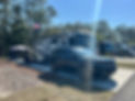 IMG_4386.JPEG