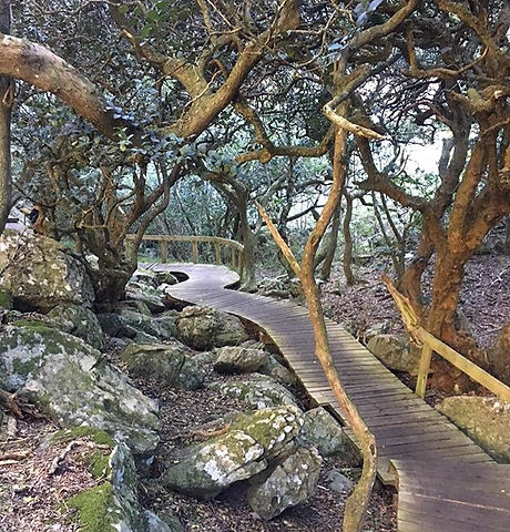 Loving this path_._._.jpg