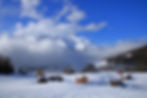 Winterlandschaft