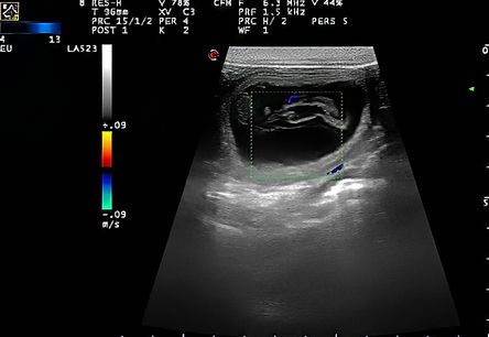 Ciel_Ultra_Fin (2 von 3).jpg