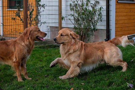 Deckung_Florie (7 von 8).jpg