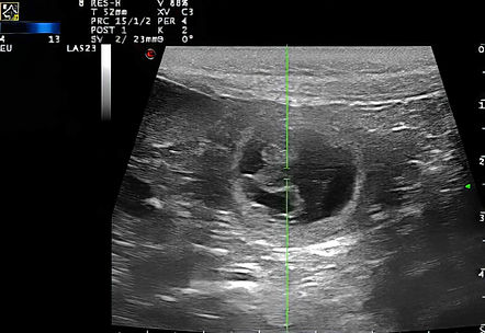 Florie_Ultra_Fin (2 von 3).jpg