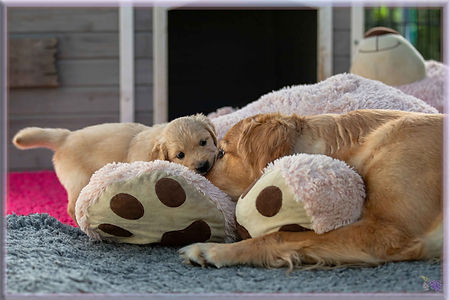 _MG_5921-topaz_-denoise-sharpen Kopie.jpg