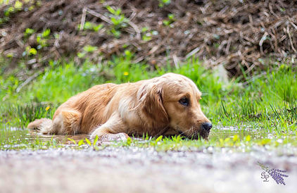 Frühling_2023-37.jpg