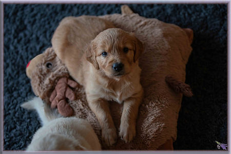 _MG_5956-topaz_-denoise-sharpen Kopie.jpg