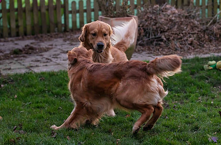 Deckung_Florie (1 von 8).jpg