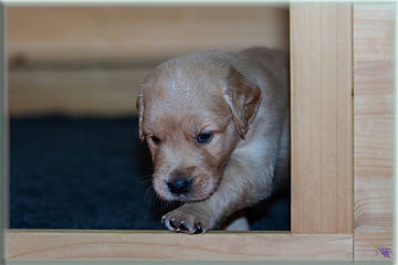 _MG_5737-topaz_-denoise-sharpen Kopie.jpg