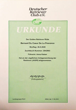 Urkunde_Bernard.jpg