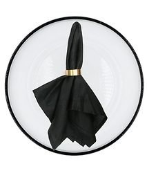 ring napkin rental party wedding events nationwide.png