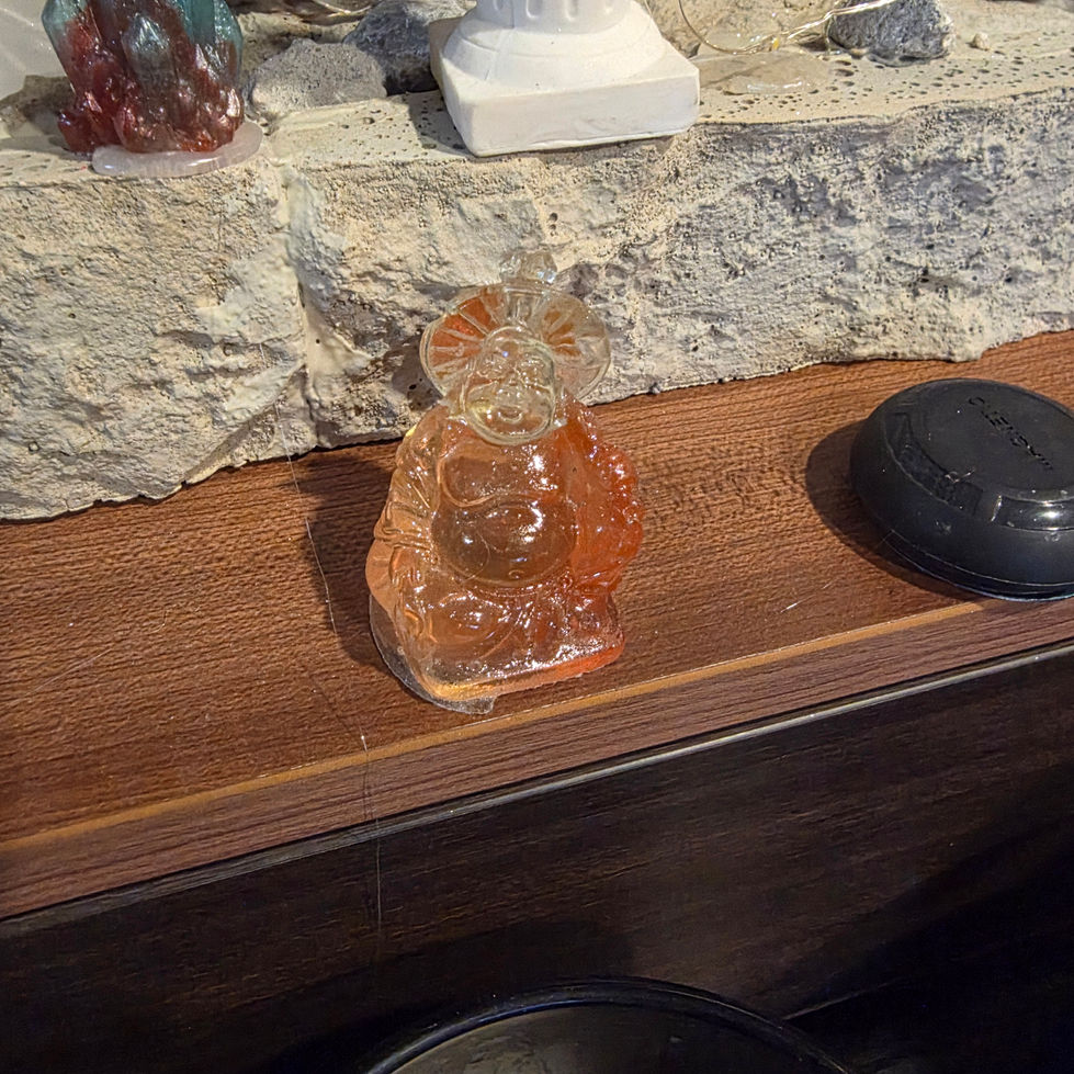 20260314_121606.jpg