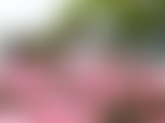 「春のバラフェア」のツール一式の制作について