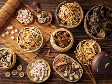 Bài Thuốc Nam Phổ Biến Hỗ Trợ Xơ Gan Cổ Trướng: Hiểu Đúng Trước Khi Áp Dụng