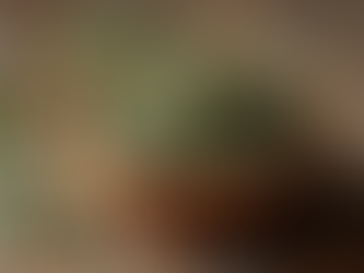 Các loại thảo dược chữa mất ngủ hiệu quả