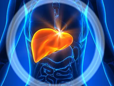 Gan có thể bị quá tải bởi những thói quen ban đêm nhiều người vẫn làm mỗi ngày. Khám phá 5 sai lầm phổ biến theo góc nhìn Nam dược cổ truyền.