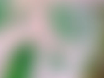 Nhung Hươu Trong Đông Y: Công Dụng Bồi Bổ Toàn Diện Theo Góc Nhìn Y Học Cổ Truyền