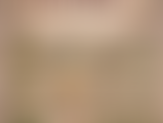 10 Cây Thuốc Nam Bổ Thận – Mát Gan Dễ Tìm, An Toàn Cho Gia Đình Việt