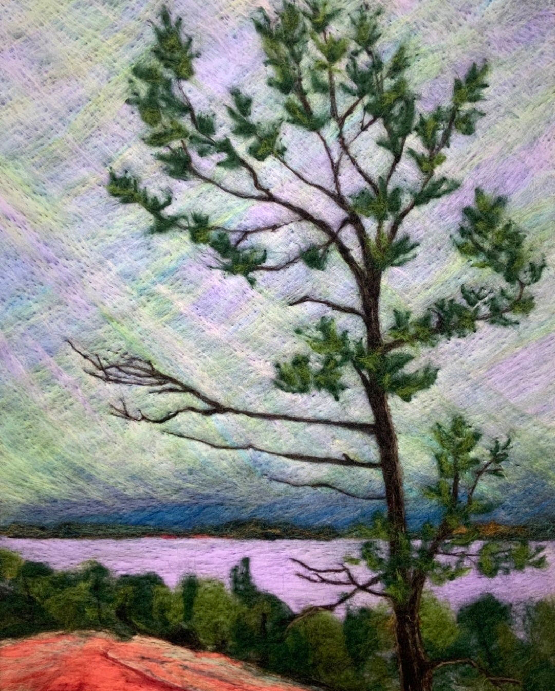 Windswept over the bay