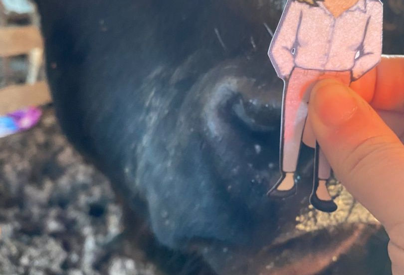 Today's Adventures of Flat Mrs. Howard