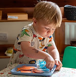 Felix fish counting.jpg