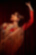 JV-Flamenco-17.jpg