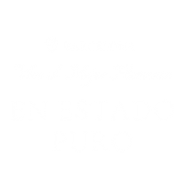 Vive El Flamenco (3).png