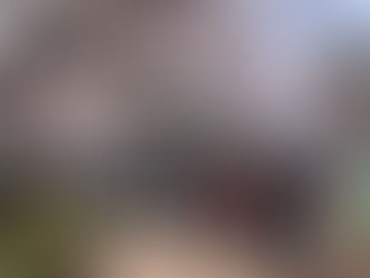 大崎ラン 桜が満開です🌸