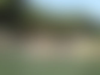 GTC 西伊豆 大人の臨海学校