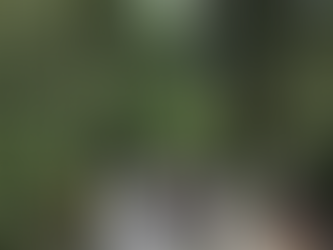 GTC 芋掘りに向けて予習編