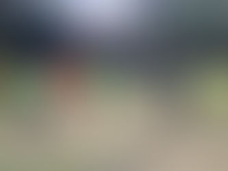 Go. Run 考えるとできなくなる?