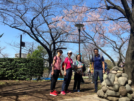 GTC さくらじゃらんじゃらん🌸