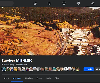 MIB Survivors Facebook page screenshot.PNG
