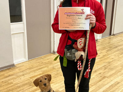 Beginners course - Jan '25