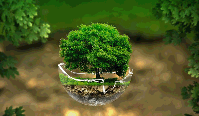배경_1.gif