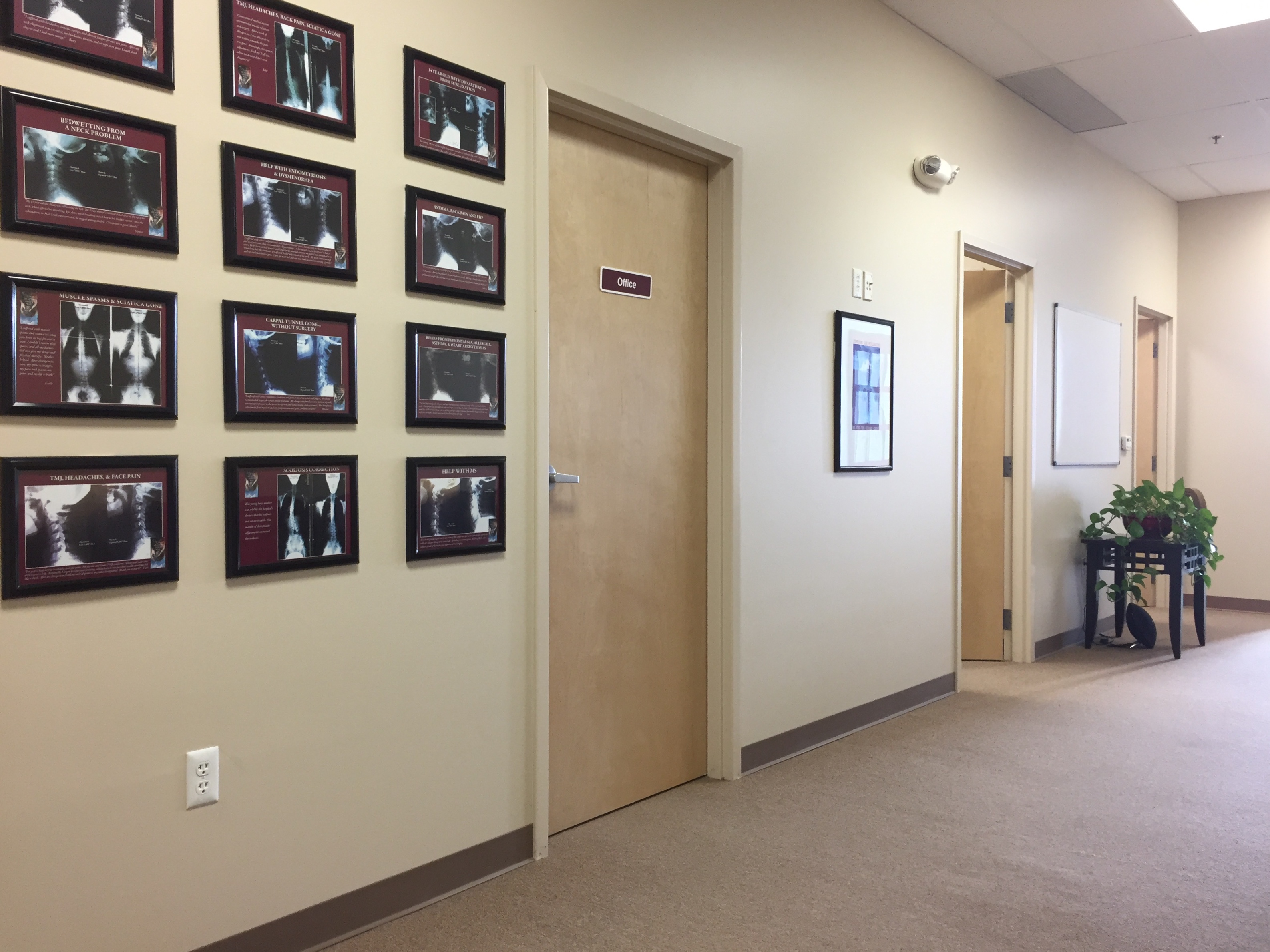 Chiropractor Carey Chiropractic Life Center United States