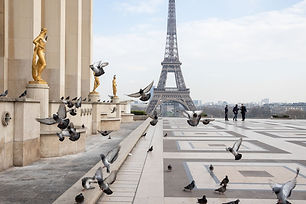 covid-paris-france-daniels-23.jpeg