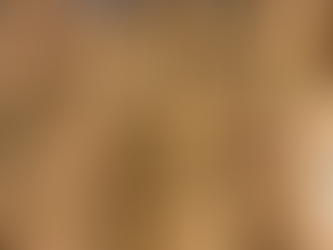 Enfin, les truffes sont là…et la fabrication du foie gras aussi !