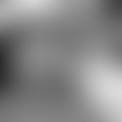 The Female that Changed the Fate of Farm Workers: Dolores Huerta