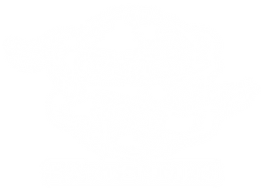 OTM Logo - White Transparent.png