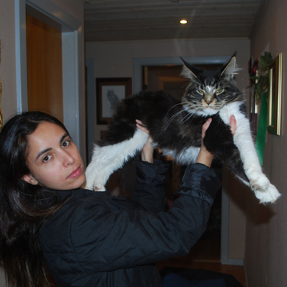 Angela and Adventure
